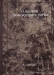 О водном бромокуприте лития / Воспроизведено в оригинальной авторской орфографии издания 1898 года (издательство «Санкт-Петербург»).